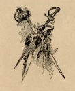 ce7646a74c54cecf1c05442c71f02147_S